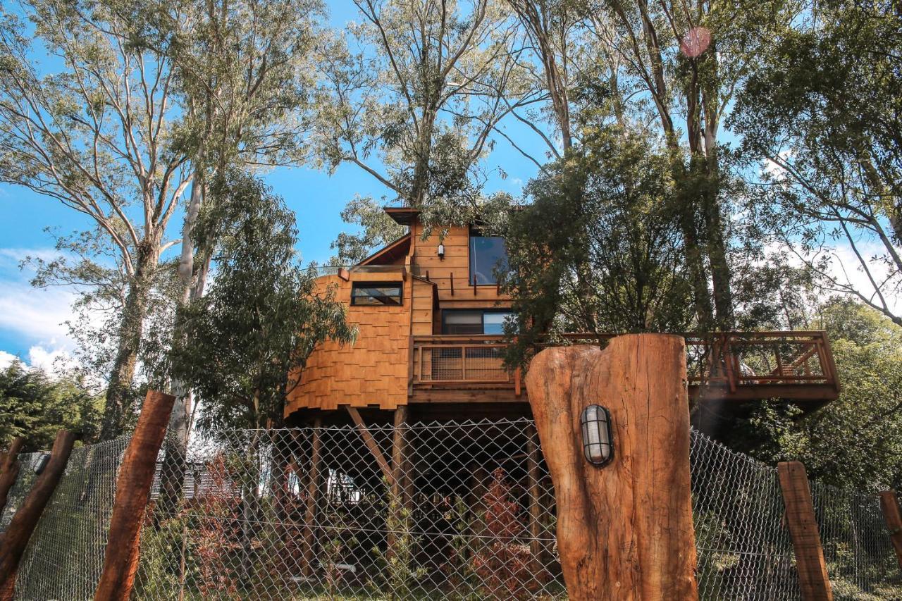 פארופילה Casa Na Arvore Morada Dos Vagalumes מראה חיצוני תמונה