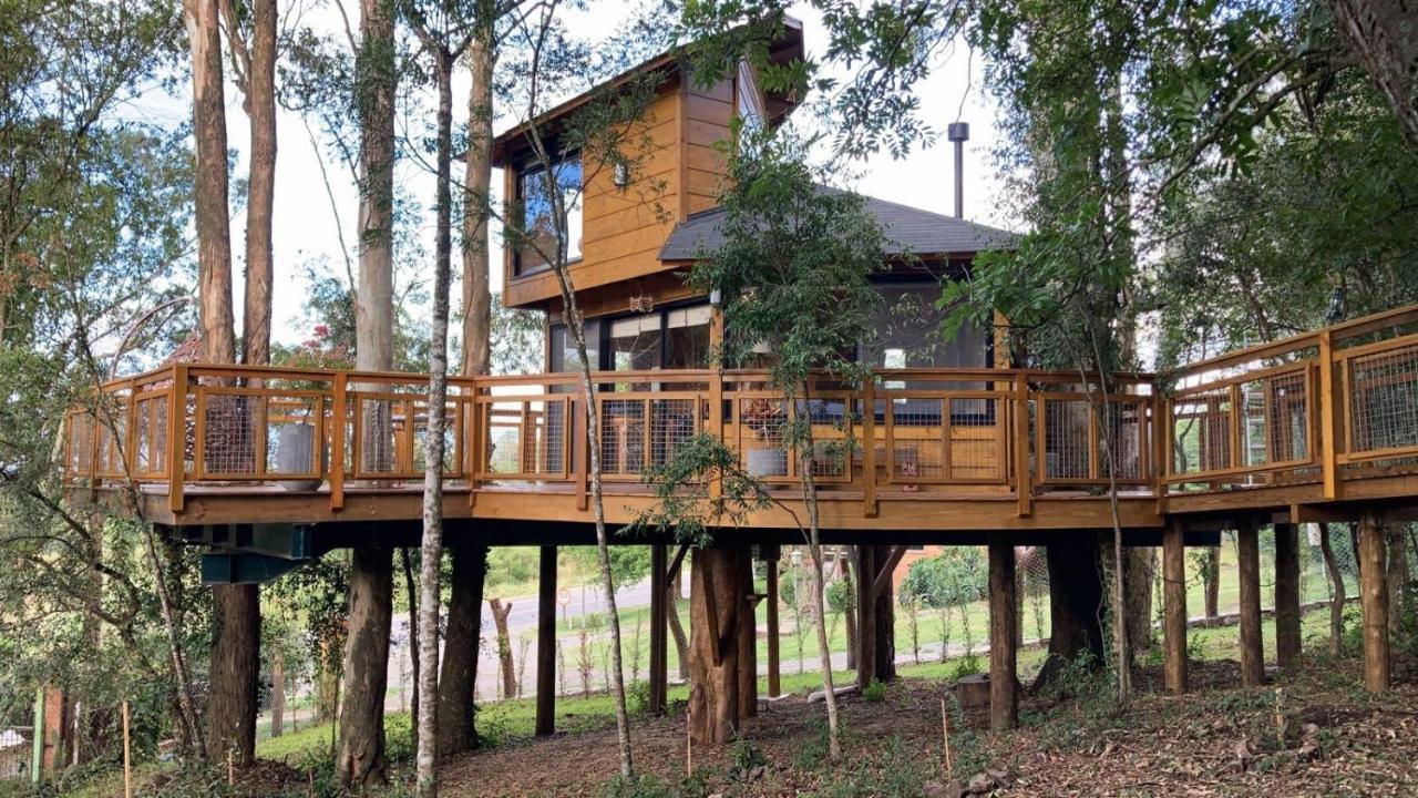 פארופילה Casa Na Arvore Morada Dos Vagalumes מראה חיצוני תמונה