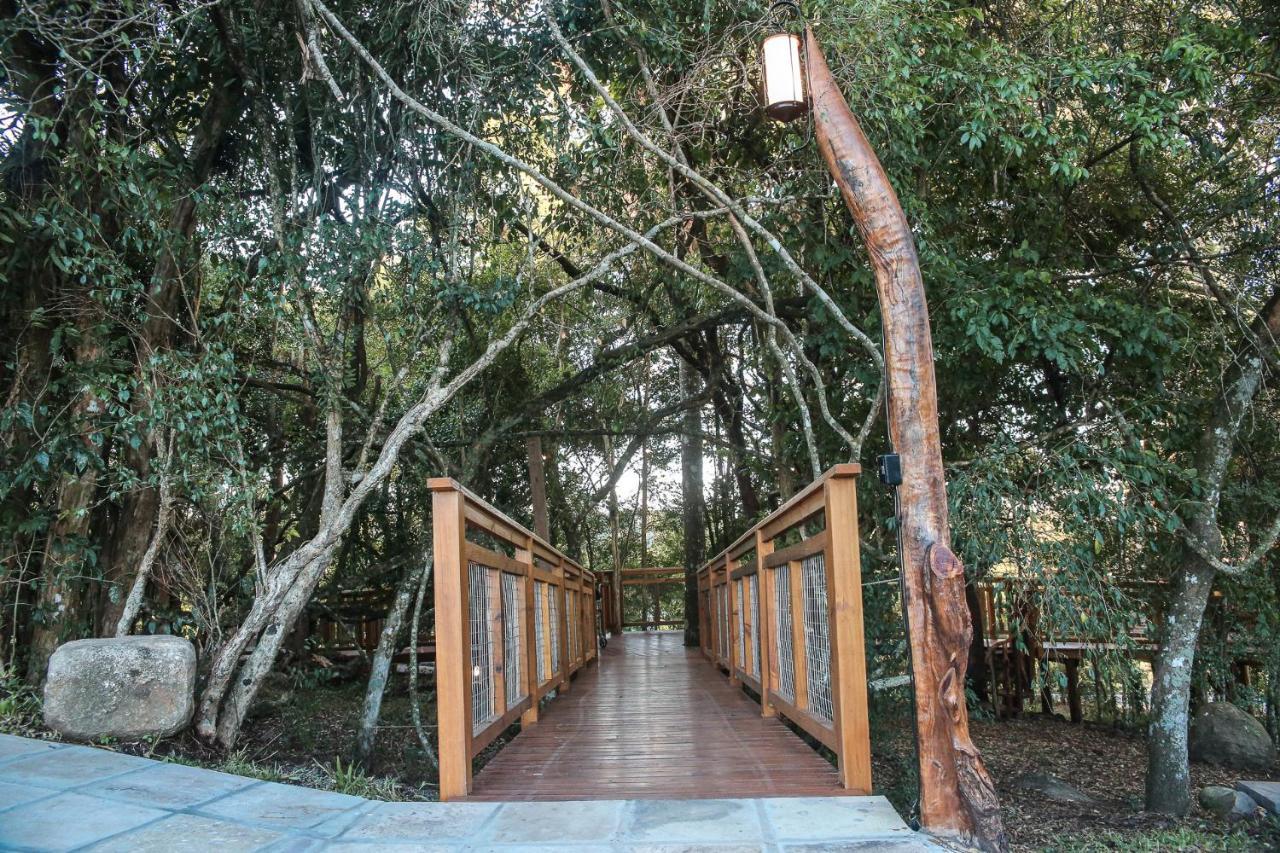 פארופילה Casa Na Arvore Morada Dos Vagalumes מראה חיצוני תמונה