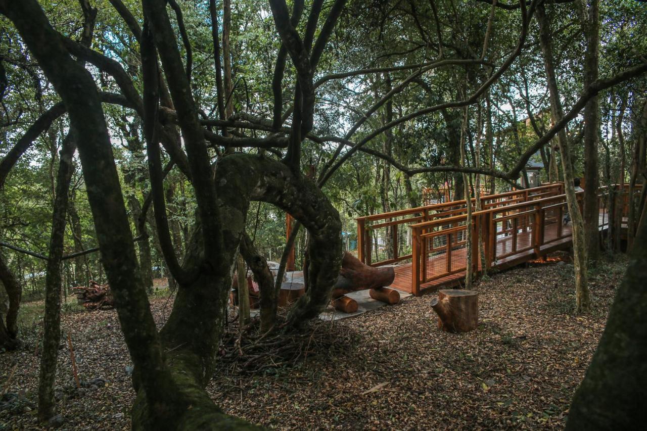 פארופילה Casa Na Arvore Morada Dos Vagalumes מראה חיצוני תמונה